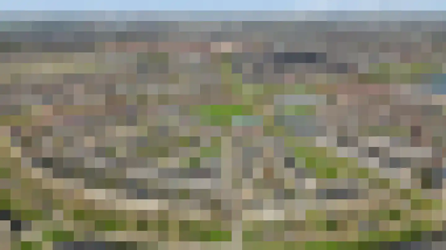 Kantmos 49 Houten thumbnail 80