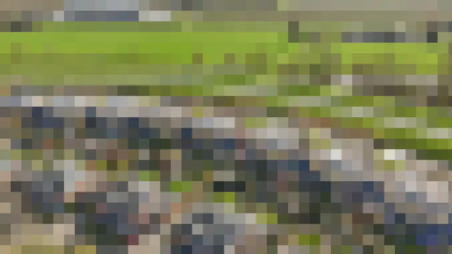 Kantmos 49 Houten thumbnail 81