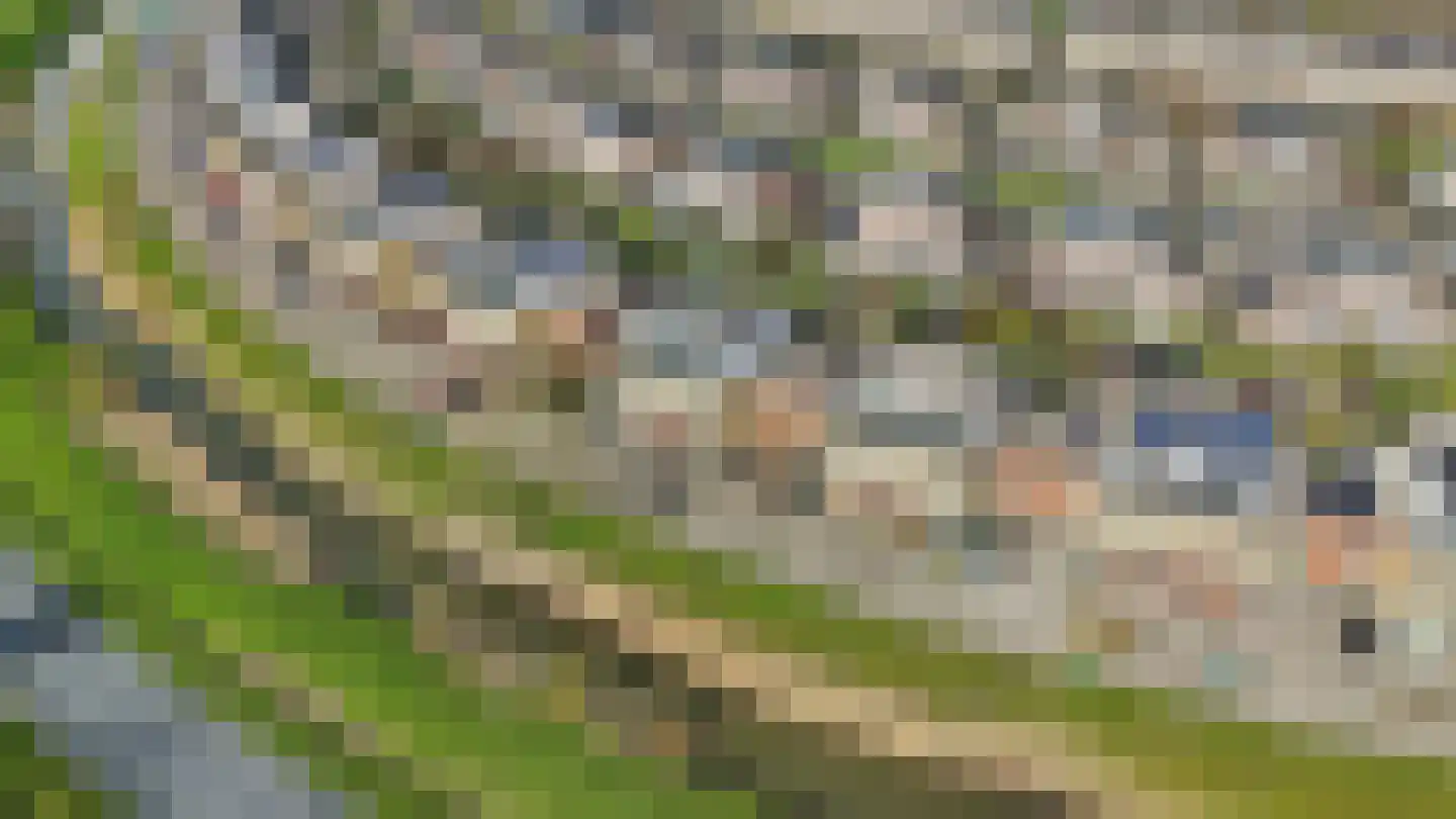 Kantmos 49 Houten thumbnail 82