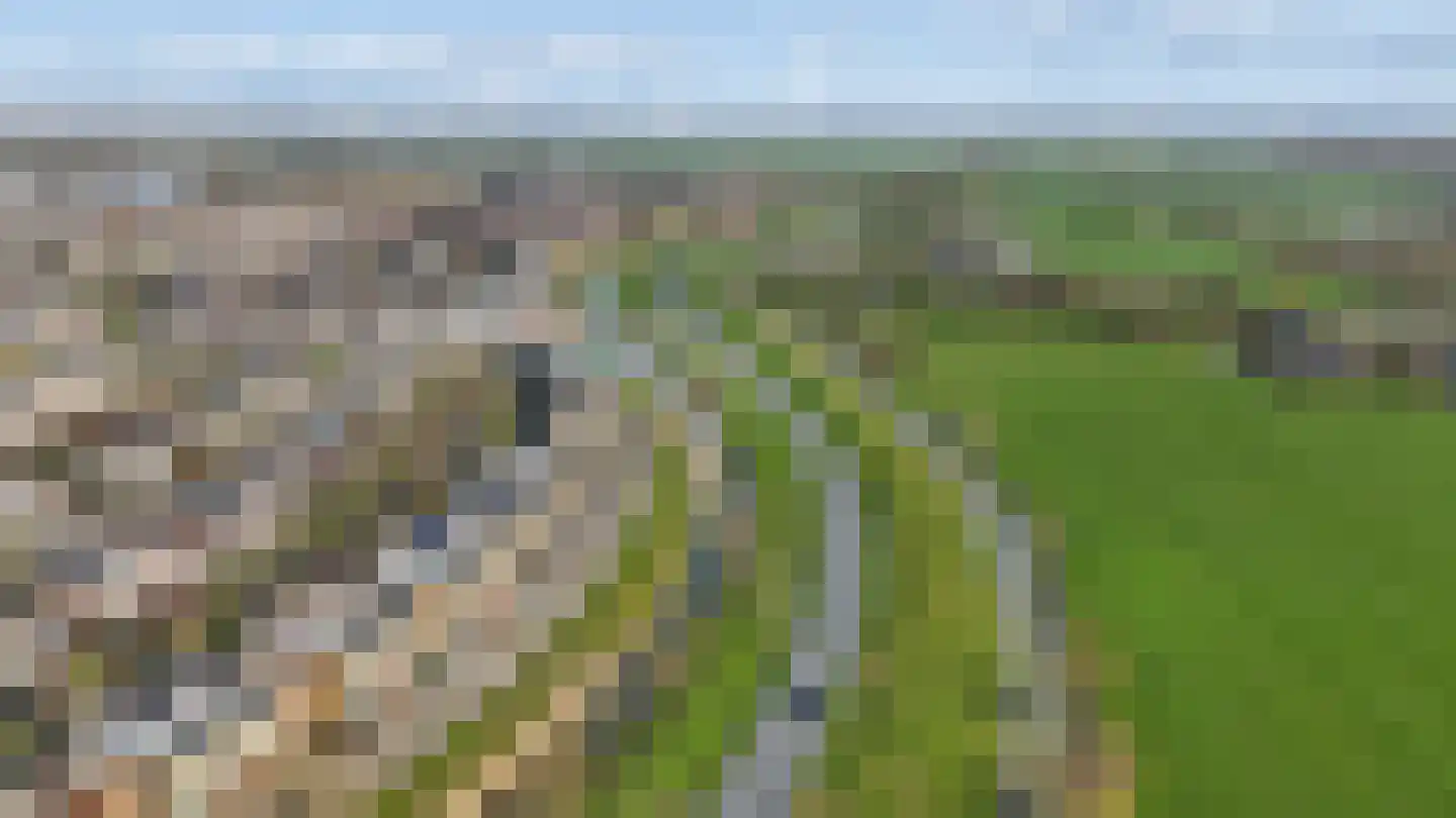 Kantmos 49 Houten thumbnail 83