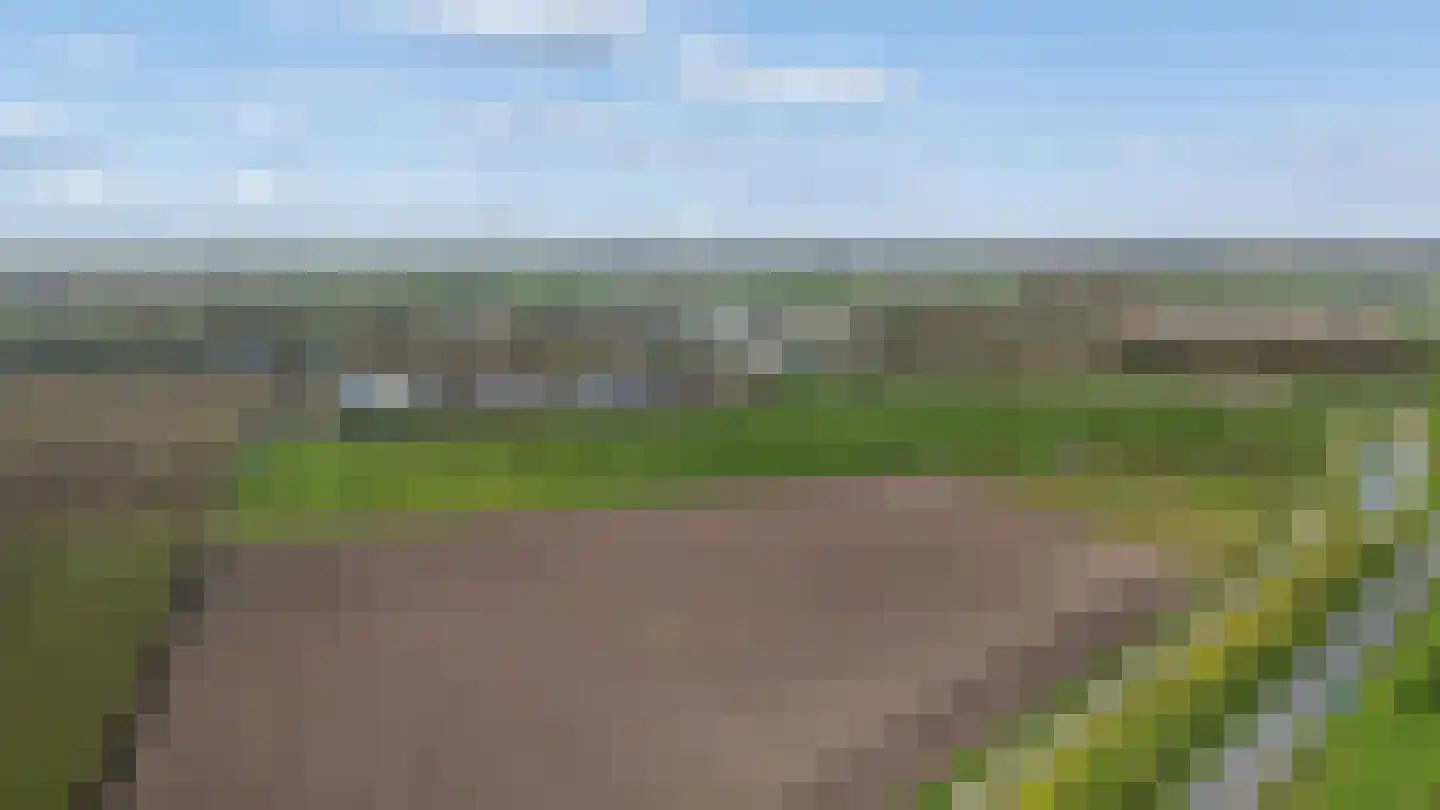 Kantmos 49 Houten thumbnail 84