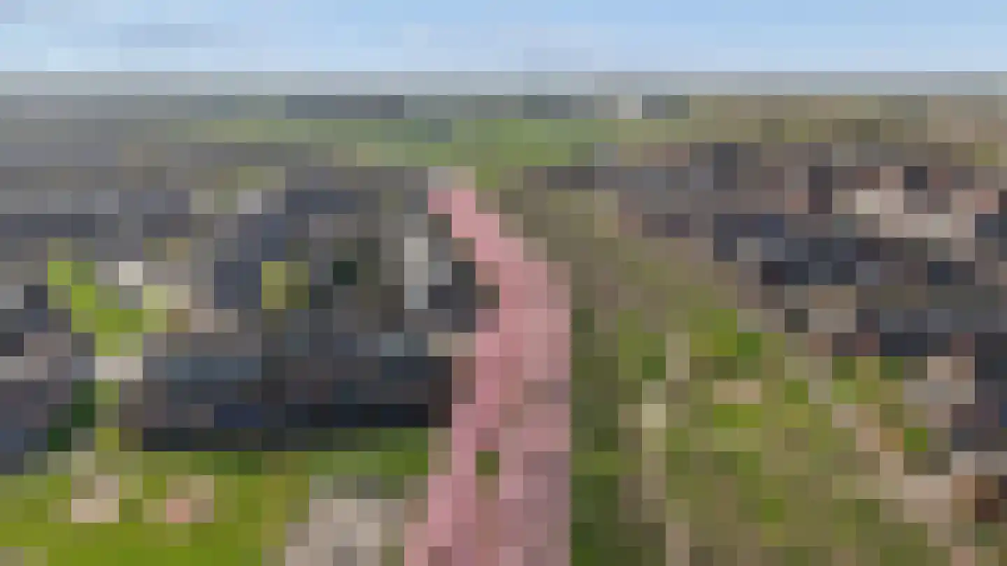 Kantmos 49 Houten thumbnail 85
