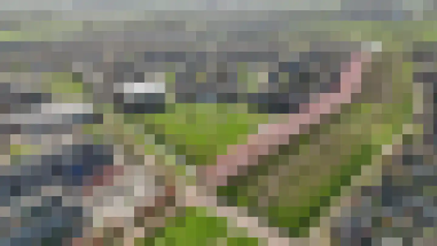 Kantmos 49 Houten thumbnail 86