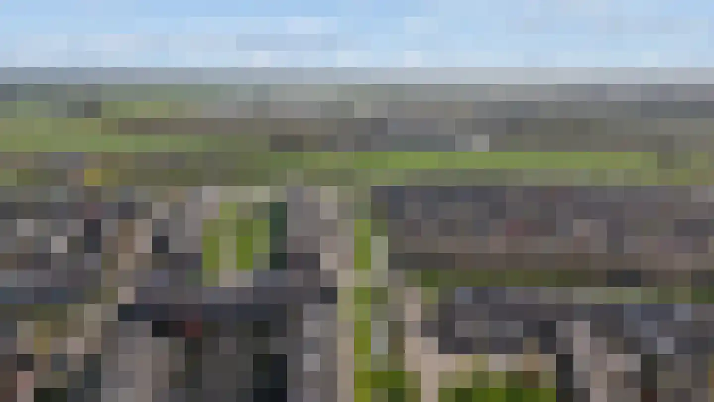 Kantmos 49 Houten thumbnail 87