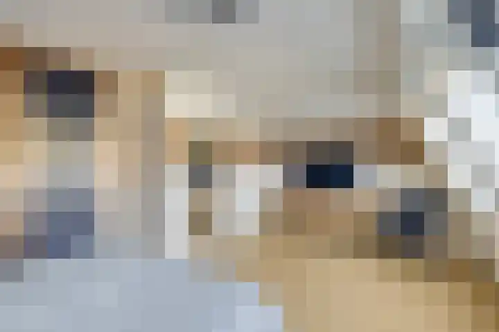 Kantmos 5 Houten thumbnail 18