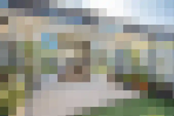 Kantmos 5 Houten thumbnail 29