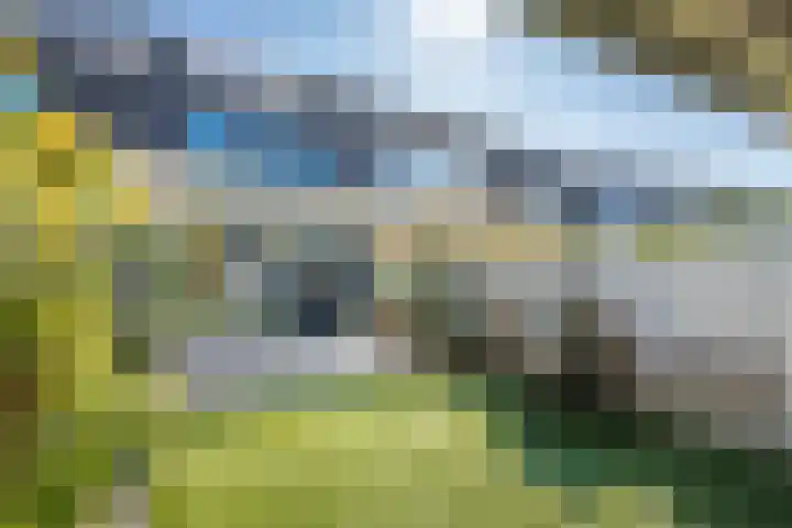 Kantmos 5 Houten thumbnail 30