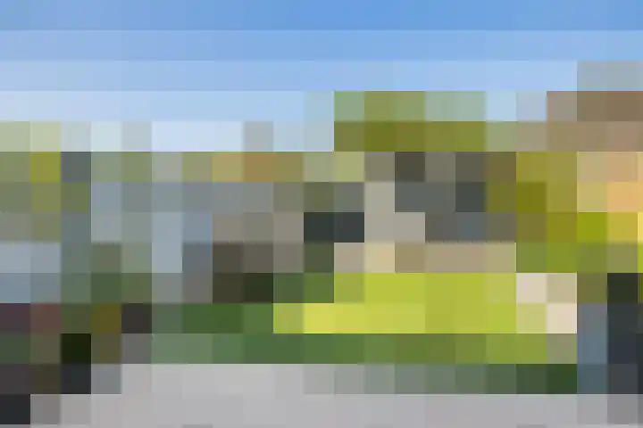 Kantmos 5 Houten thumbnail 31
