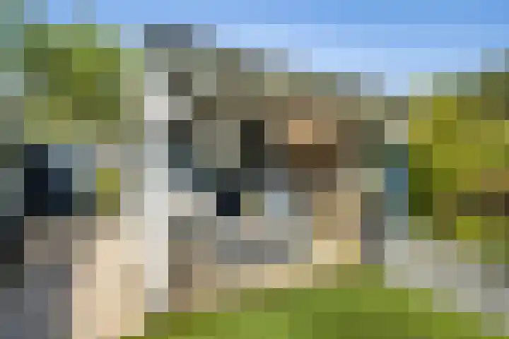 Kantmos 5 Houten thumbnail 33