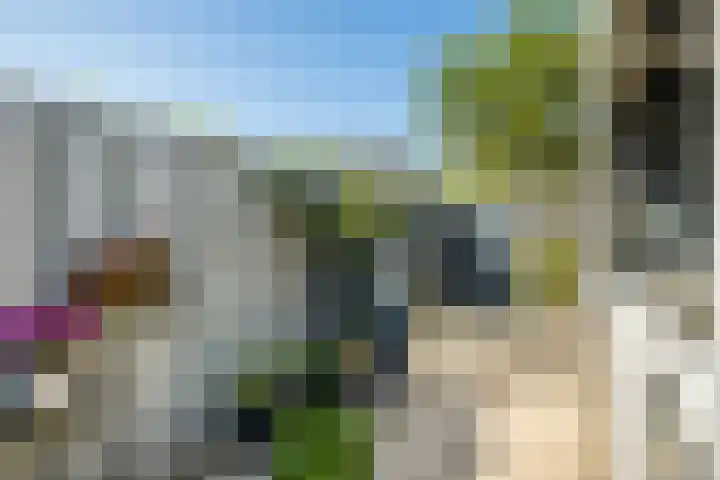 Kantmos 5 Houten thumbnail 34