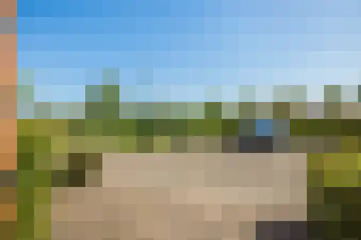 Kantmos 5 Houten thumbnail 35