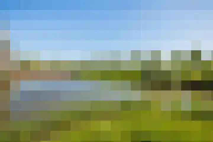 Kantmos 5 Houten thumbnail 36