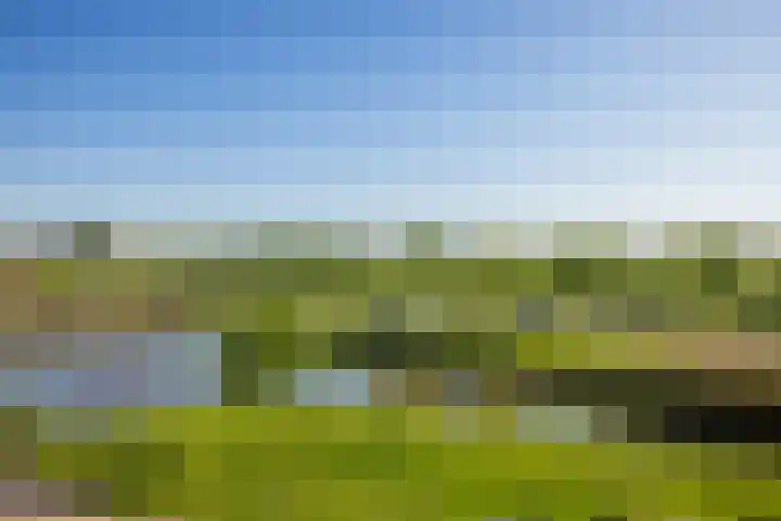 Kantmos 5 Houten thumbnail 37