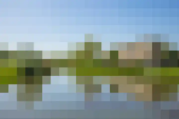 Kantmos 5 Houten thumbnail 38