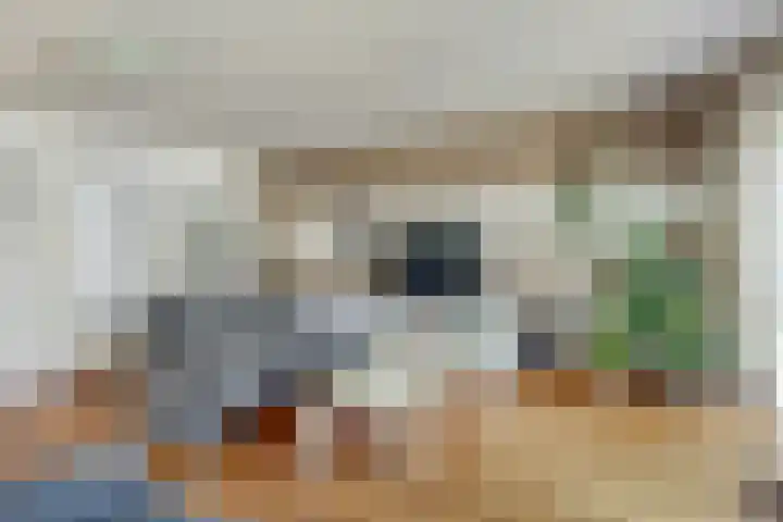 Kantmos 5 Houten thumbnail 4