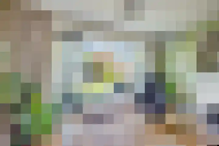 Kantmos 5 Houten thumbnail 6
