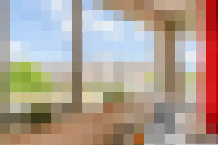 Kantmos 50 Houten thumbnail 17