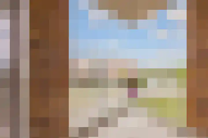 Kantmos 50 Houten thumbnail 21