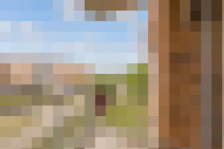 Kantmos 50 Houten thumbnail 23