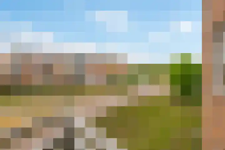Kantmos 50 Houten thumbnail 24