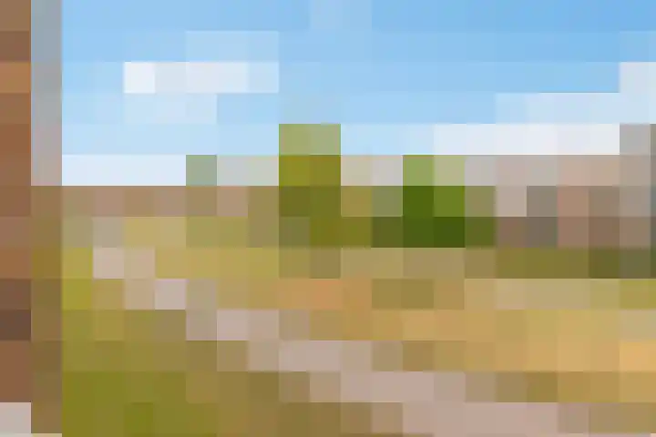 Kantmos 50 Houten thumbnail 25