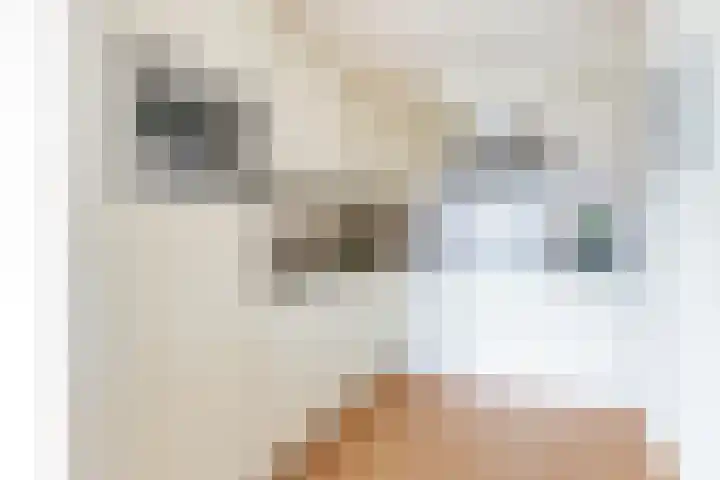 Kantmos 50 Houten thumbnail 30