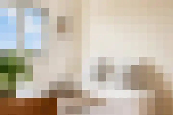 Kantmos 50 Houten thumbnail 33
