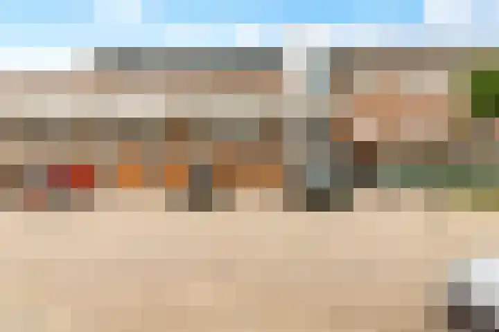 Kantmos 50 Houten thumbnail 4