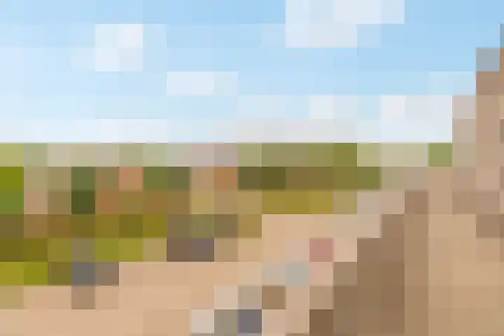 Kantmos 50 Houten thumbnail 40