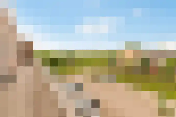 Kantmos 50 Houten thumbnail 41