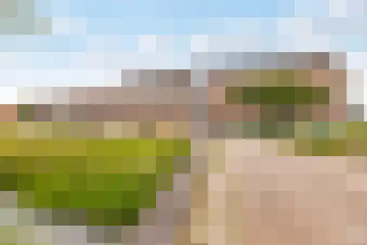 Kantmos 50 Houten thumbnail 42