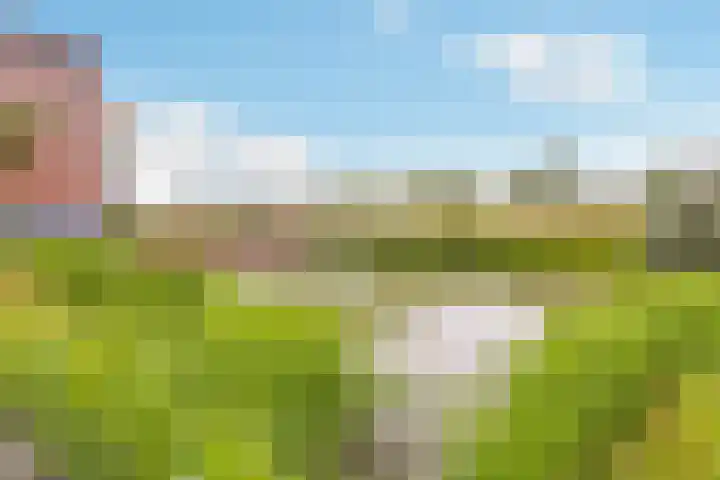 Kantmos 50 Houten thumbnail 43