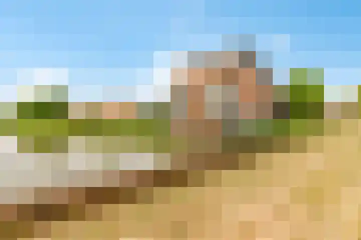 Kantmos 50 Houten thumbnail 44