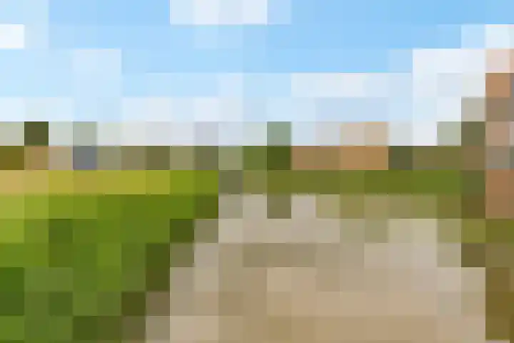 Kantmos 50 Houten thumbnail 45
