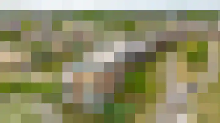 Kantmos 50 Houten thumbnail 46