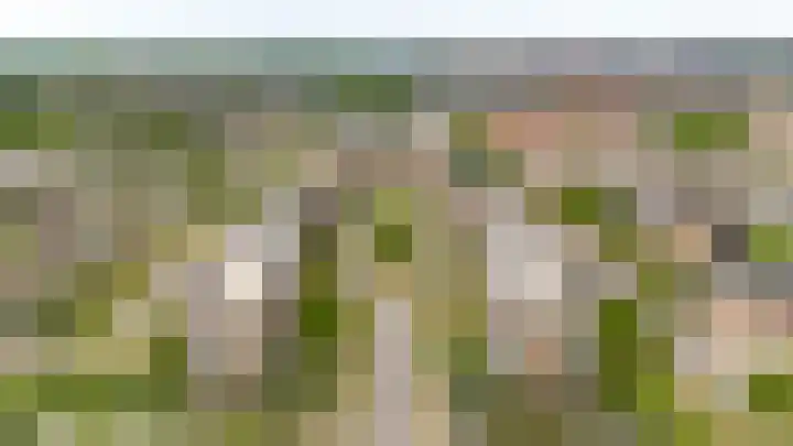 Kantmos 50 Houten thumbnail 47