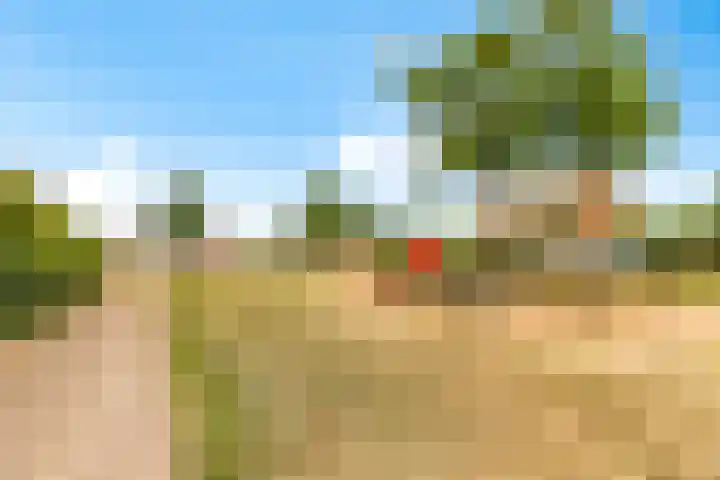 Kantmos 50 Houten thumbnail 49