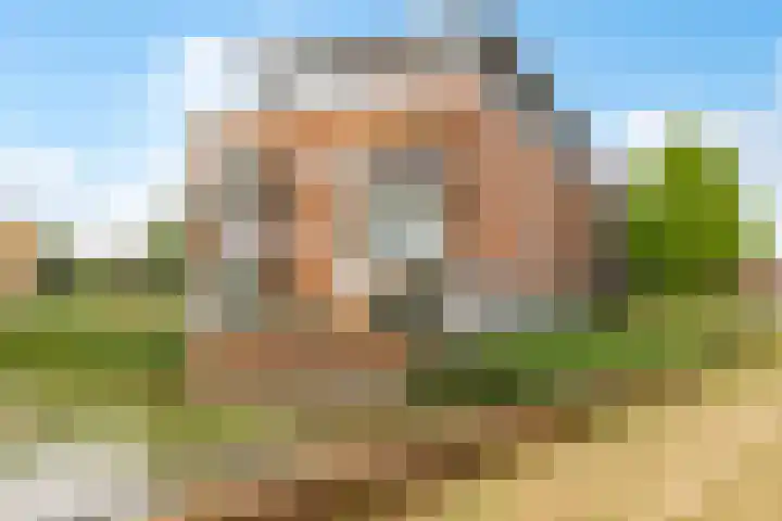 Kantmos 50 Houten thumbnail 5