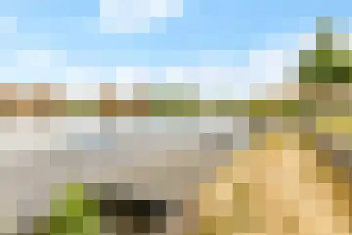 Kantmos 50 Houten thumbnail 50