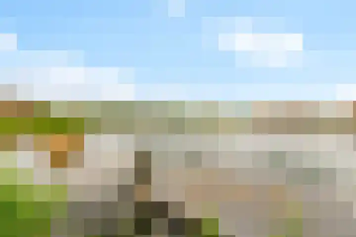 Kantmos 50 Houten thumbnail 51