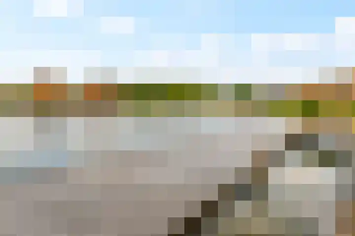 Kantmos 50 Houten thumbnail 52