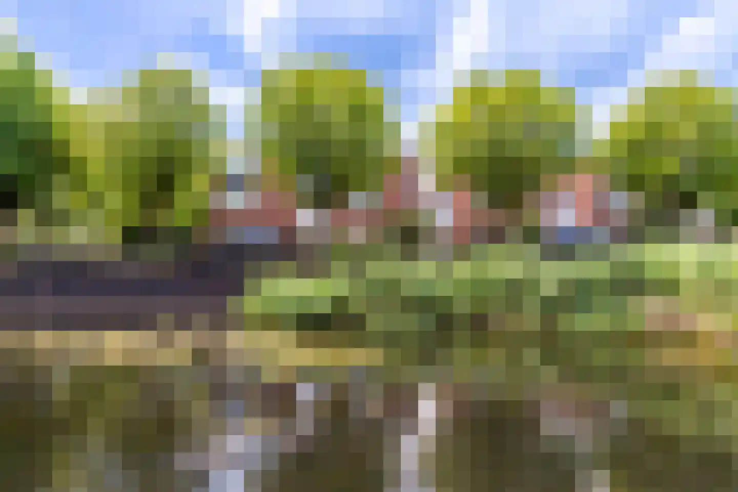 Kantmos 8 Veenendaal foto 2