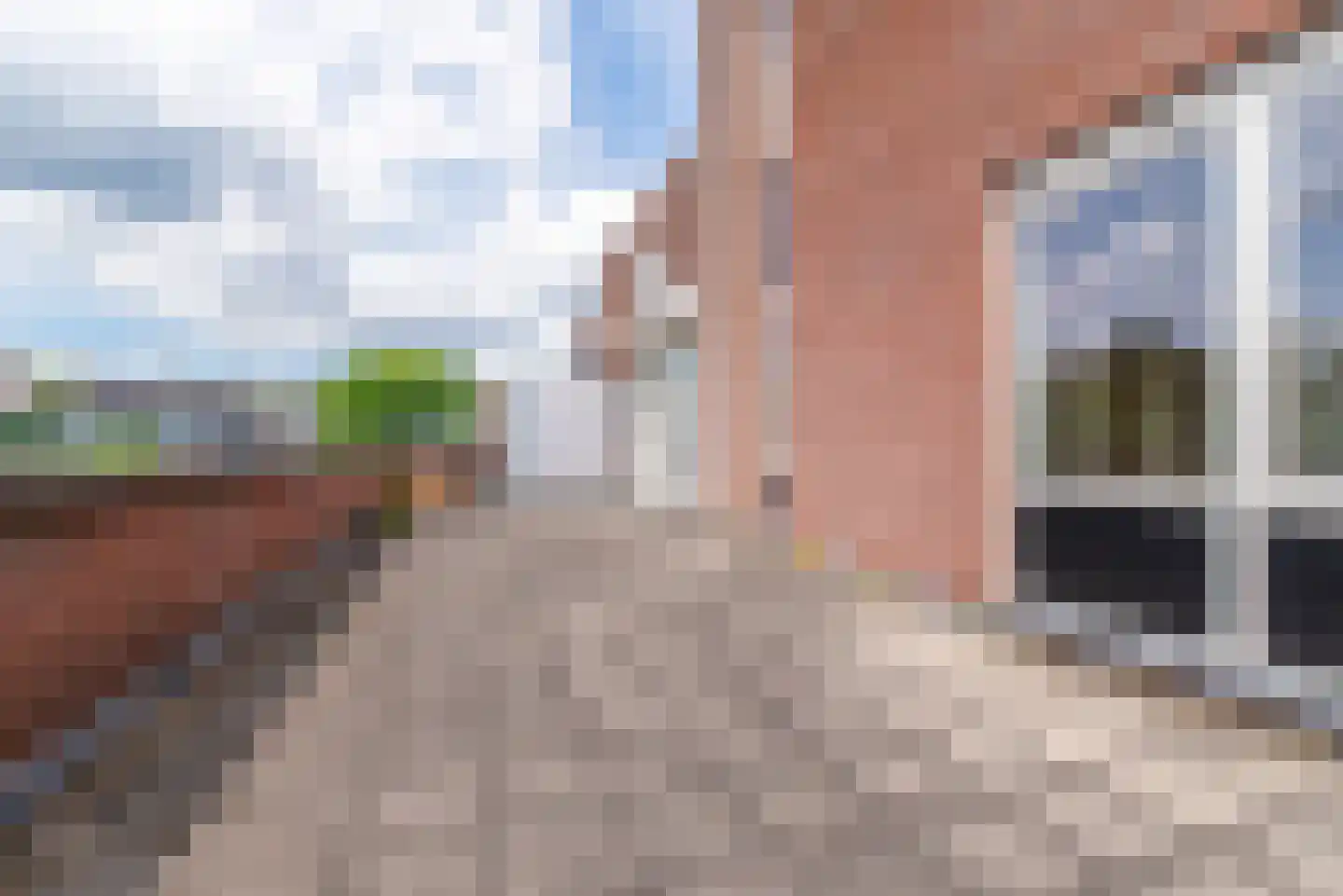 Kantmos 8 Veenendaal thumbnail 21