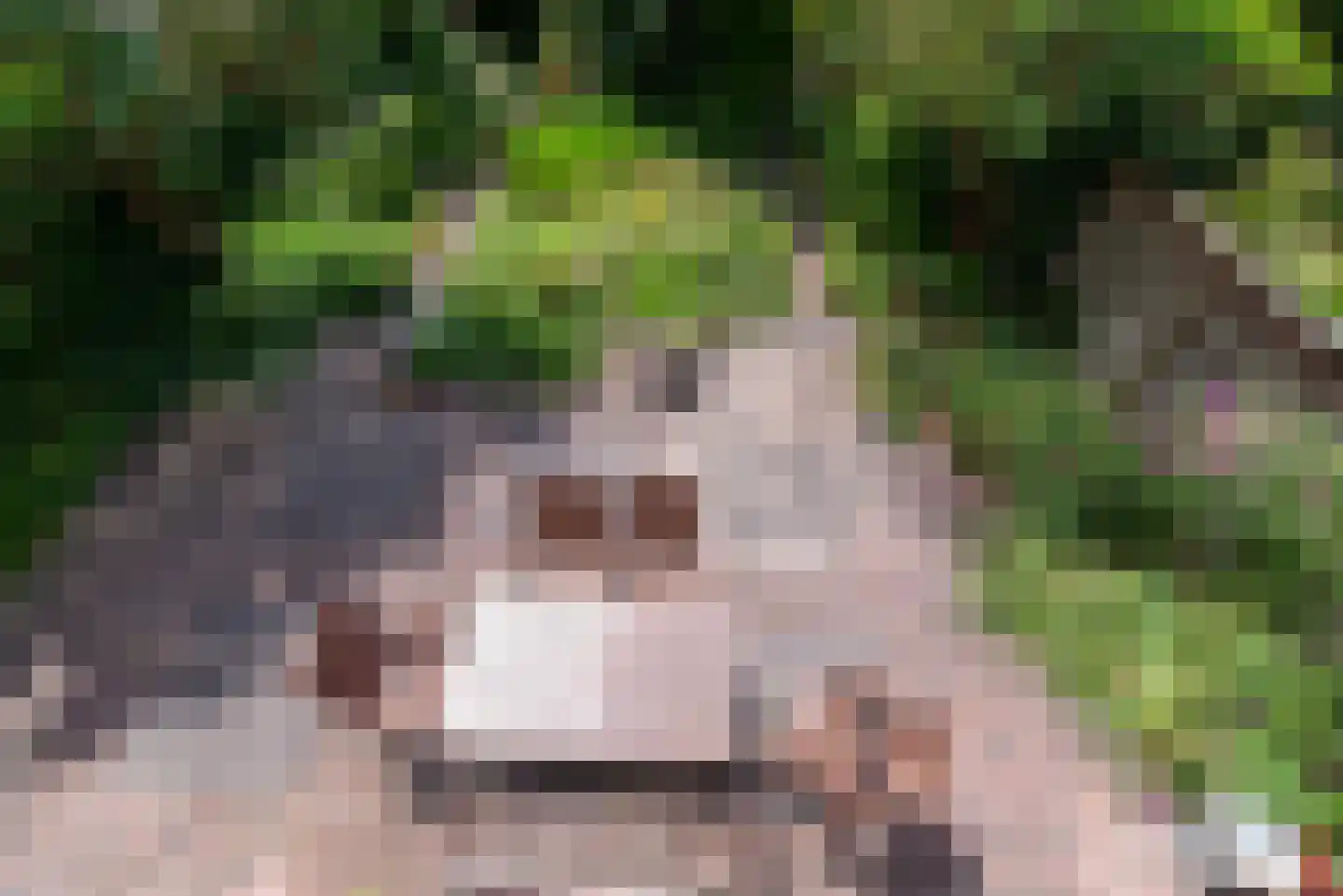 Kantmos 8 Veenendaal thumbnail 23