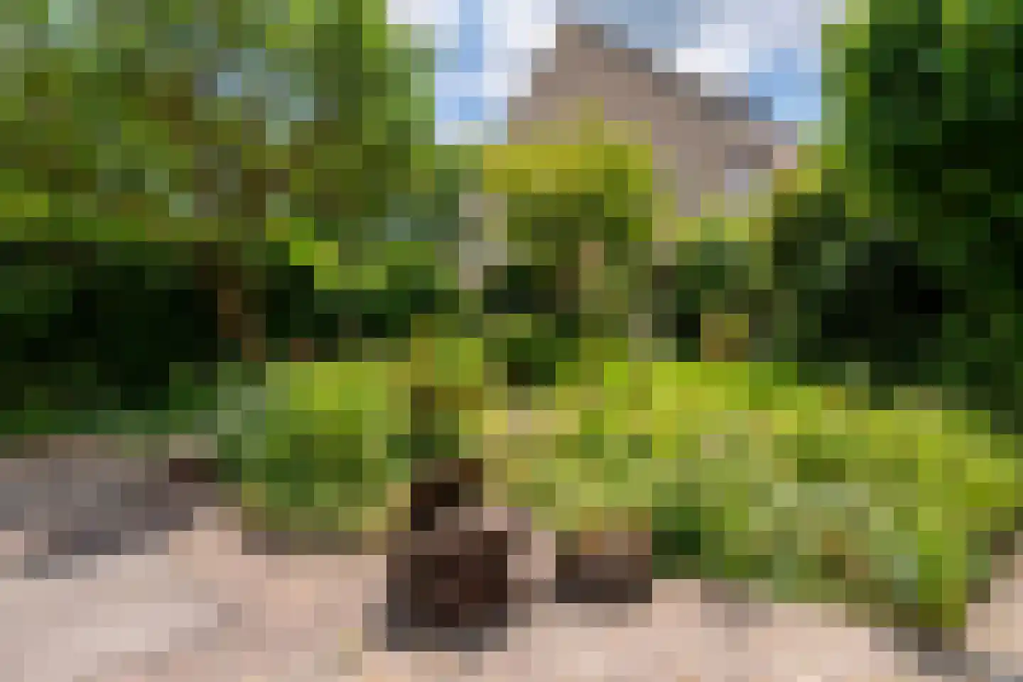 Kantmos 8 Veenendaal thumbnail 34