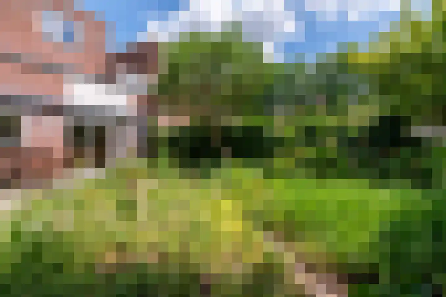 Kantmos 8 Veenendaal thumbnail 37