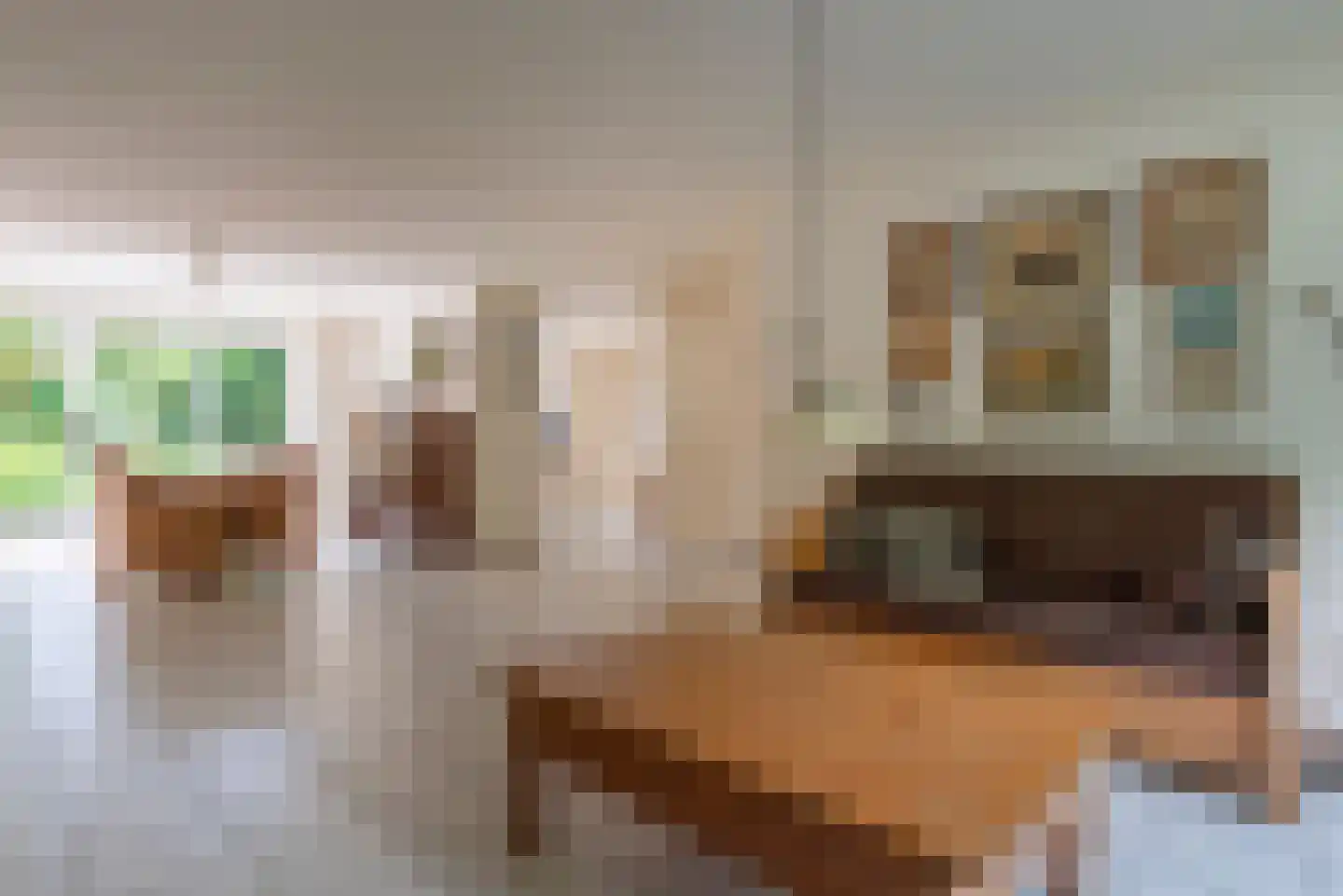 Kantmos 8 Veenendaal thumbnail 6