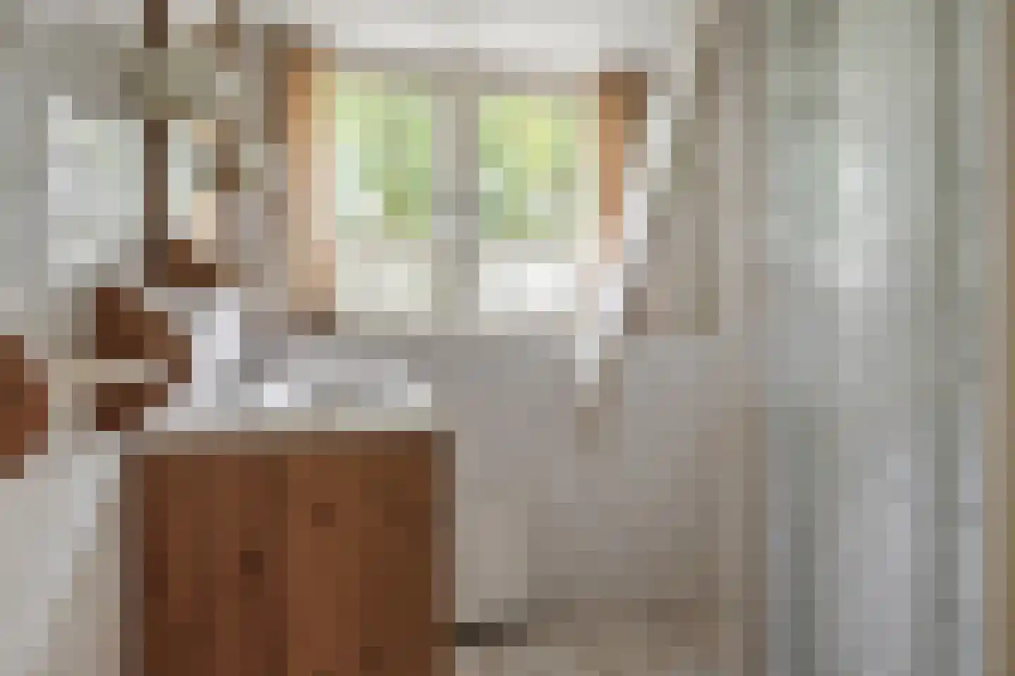 Kantonnaleweg 13 Utrecht thumbnail 17
