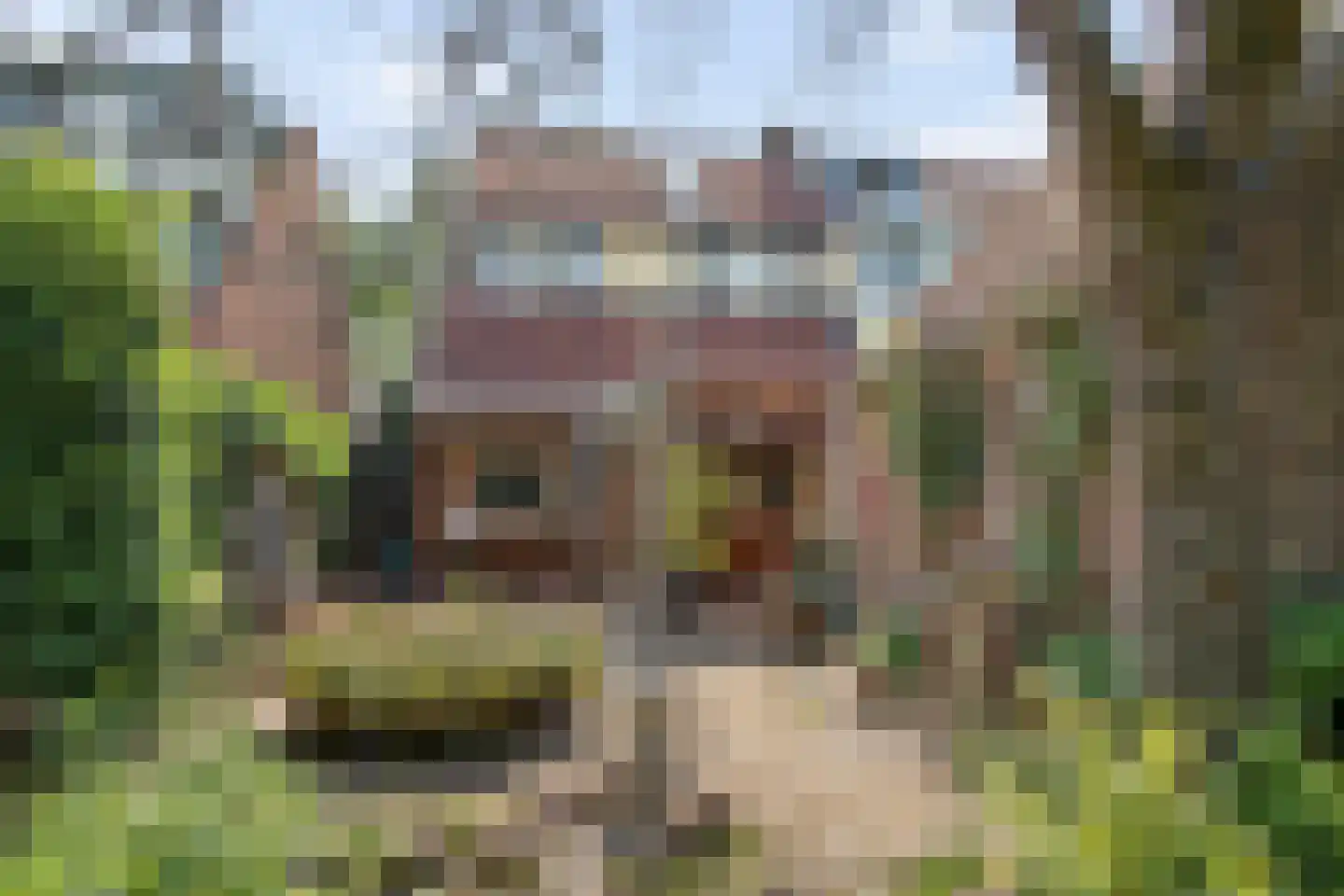Kantonnaleweg 13 Utrecht thumbnail 24