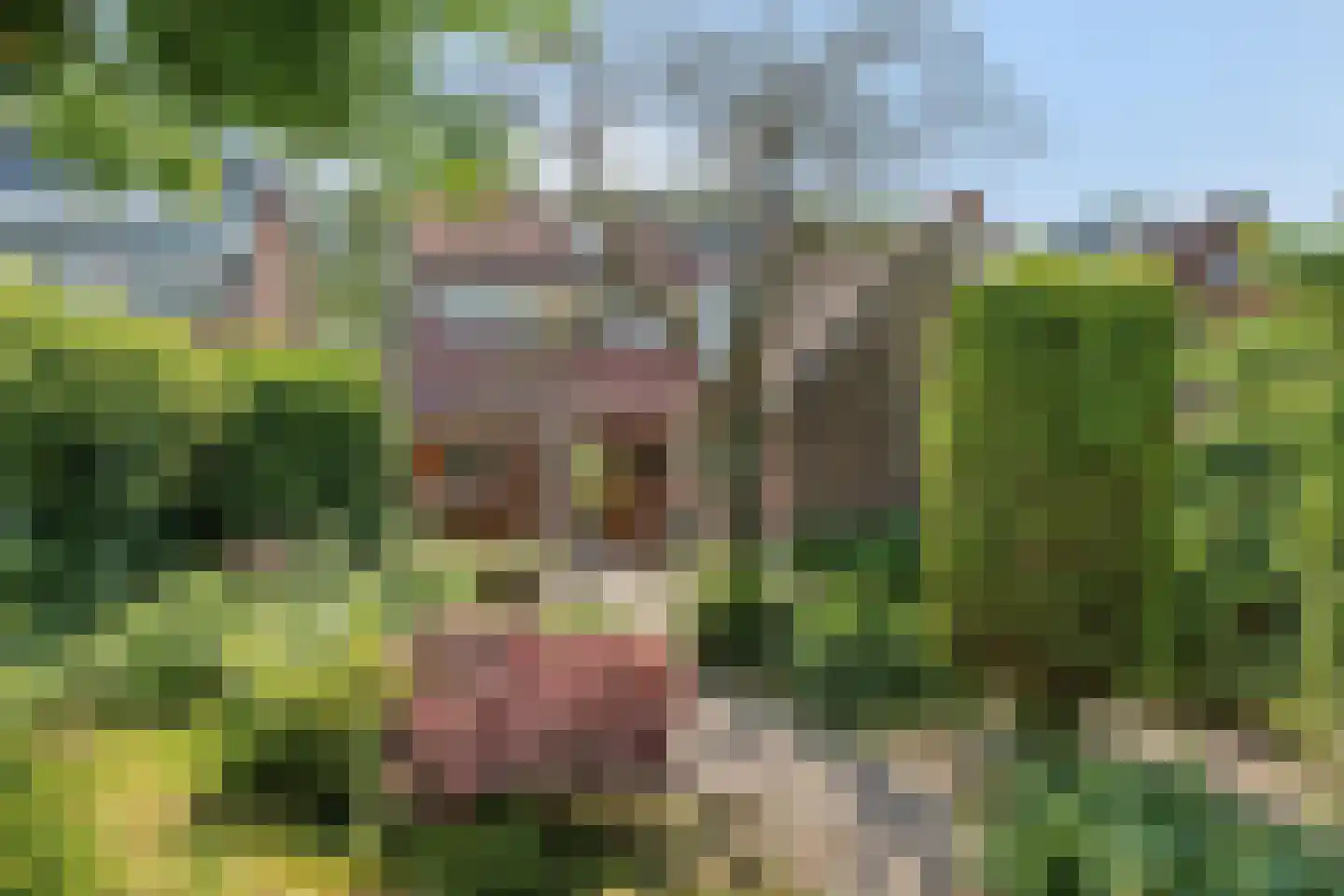 Kantonnaleweg 13 Utrecht thumbnail 25